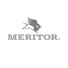 Amortiguador Meritor M85931