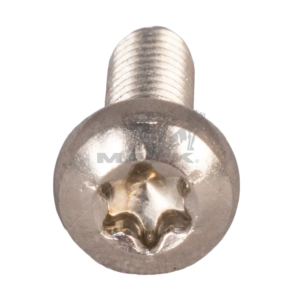 Tornillo   Mack 21079466