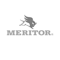 AMORTIGUADOR MERITOR M85311